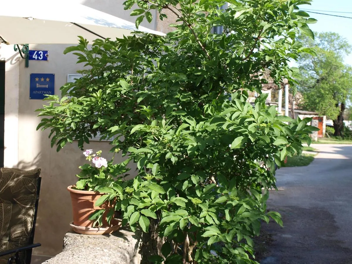 Apartment Krnica N43 Croatia
